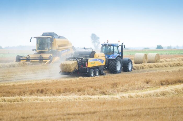 zbiory zbóż, copa-cogeca, pszenica, jęczmień, kukurydza, rynek zbóż
