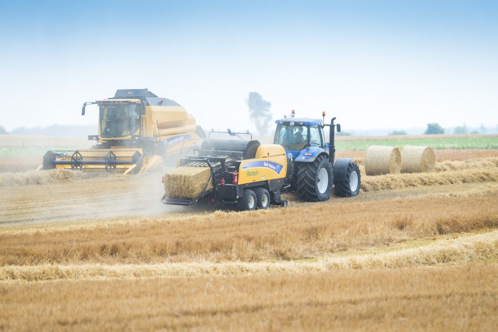 zbiory zbóż, copa-cogeca, pszenica, jęczmień, kukurydza, rynek zbóż