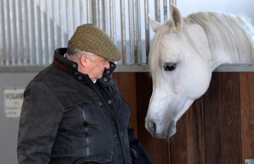 Stadnina Koni w Janowie Podlaskim, stadnna koni w Michałowie, agencja nieruchomości rolnych