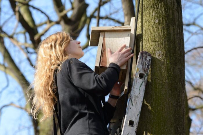 budki lęgowe dla ptaków, ornitologia, marian stój