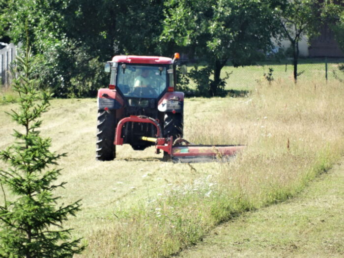 nowa odmiana kostrzewy czerwonej, coboru, krajowy rejestr, skarpy