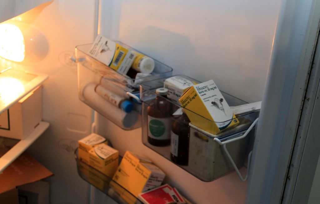 nielegalna sprzedaż leków, główny inspektor weterynarii