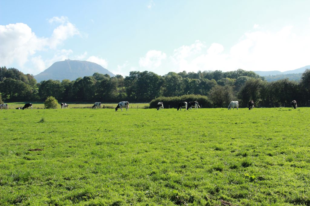 wartość użytkowa łąk, WUŁ