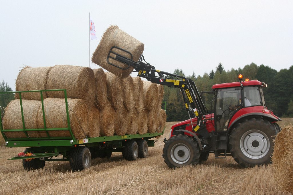 płatność obszarowa, duże gospodarstwa rolne, ograniczenie platności