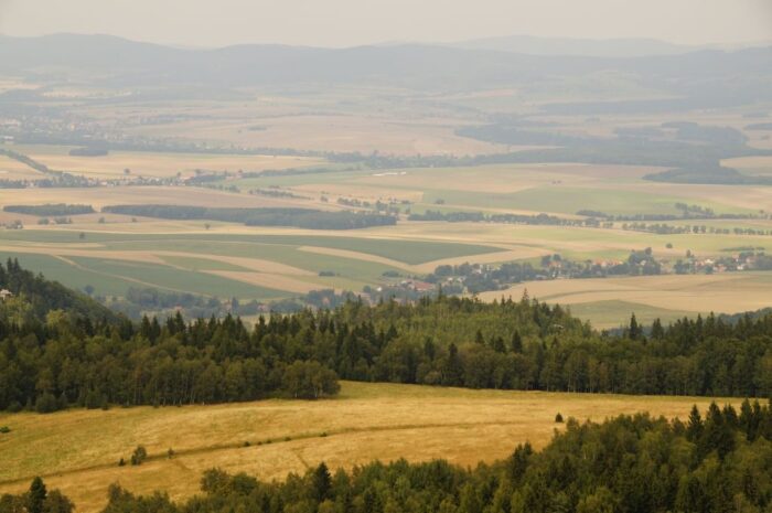 ceny gruntów rolnych, Agencja Nieruchomości Rolnych, sprzedaż ziemi
