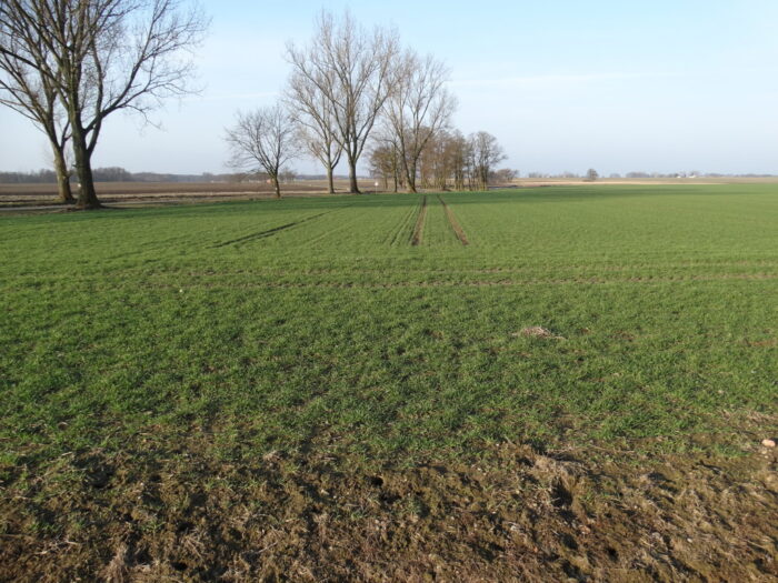 zawartość magnezu, mg, gleba, zasobność, stacje chemiczno-rolnicze, gus