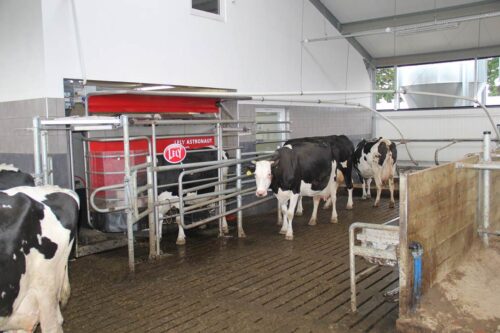 Robot udojowy Lely Astronaut