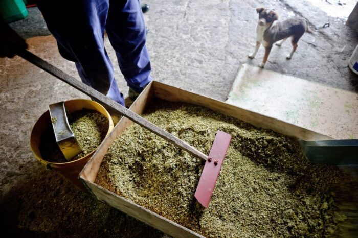 śruta rzepakowa, Adam Stępień, Polskie Stowarzyszenie Producentów Oleju