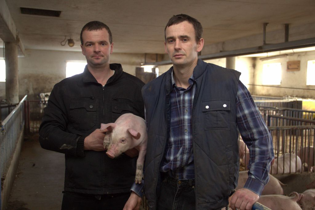 cykl zamknięty, produkcja tuczników, Zielińscy, Łążyn