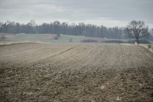 ustawa o kształtowaniu ustroju rolnego, zakup polskiej ziemi, ochrona ziemi rolniczej