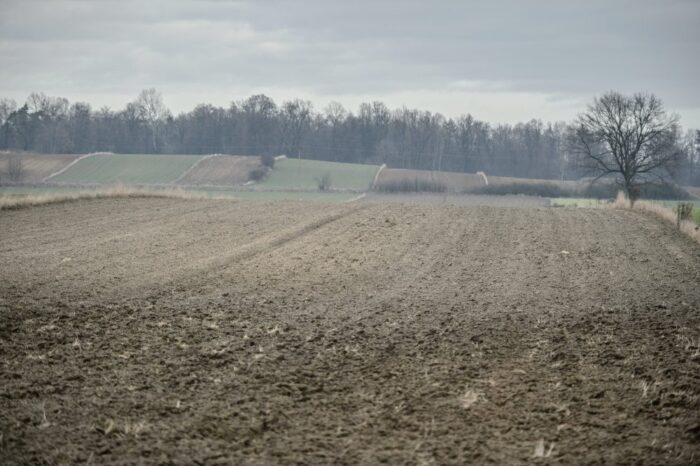 ustawa o kształtowaniu ustroju rolnego, zakup polskiej ziemi, ochrona ziemi rolniczej
