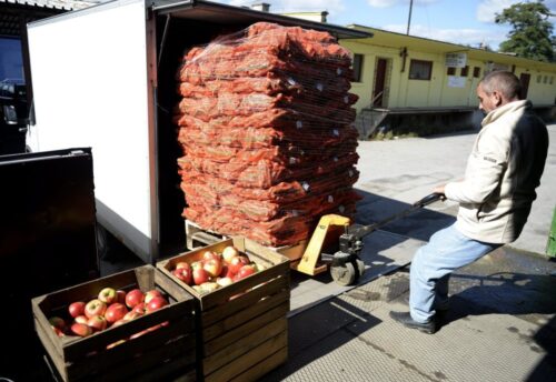 eksport owoców, eksport warzyw, rosyjskie embargo