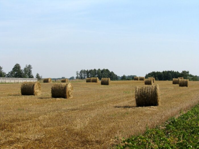 płatności bezpośrednie, system żółtej kartki dla rolników, krajowa rada izb rolniczych