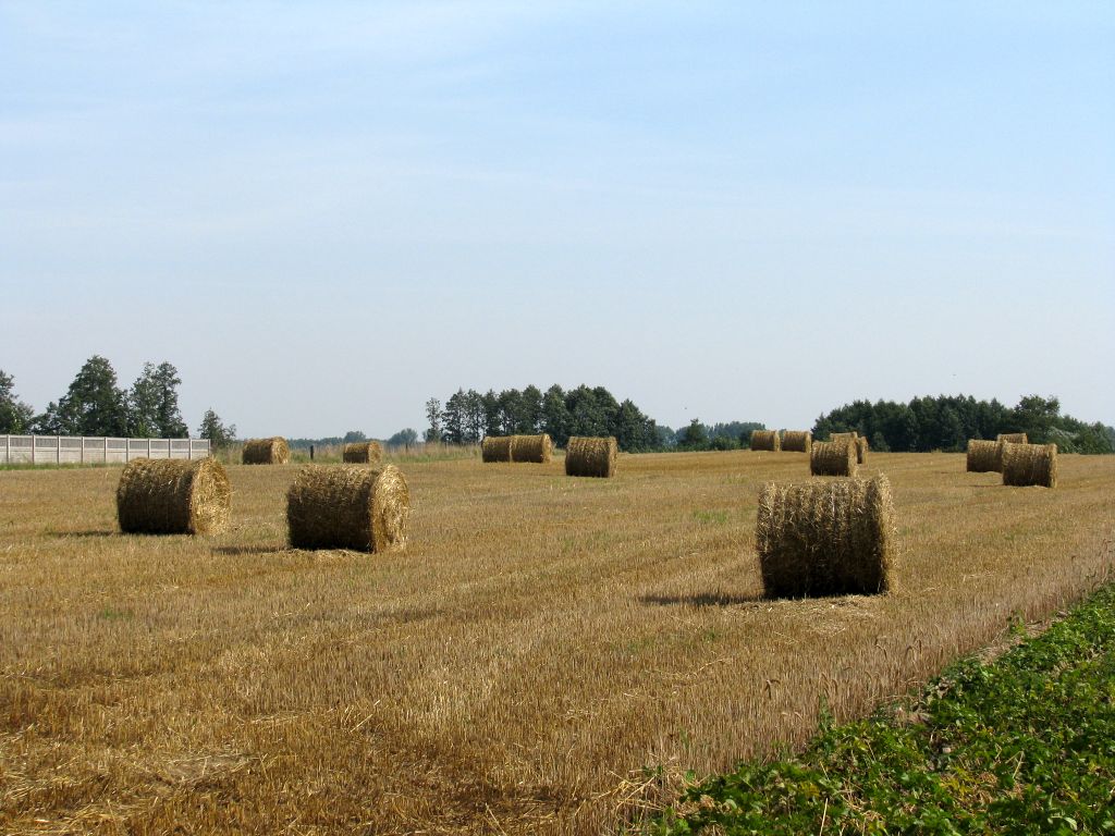 płatności bezpośrednie, system żółtej kartki dla rolników, krajowa rada izb rolniczych