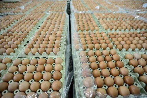 jaja spożywcze, Instytut Ekonomiki Rolnictwa i Gospodarki Żywnościowej, spożycie jaj