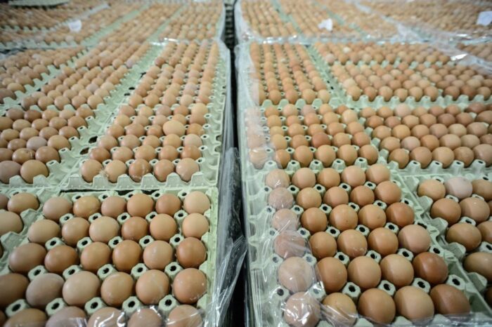 jaja spożywcze, Instytut Ekonomiki Rolnictwa i Gospodarki Żywnościowej, spożycie jaj