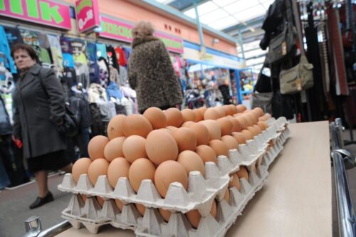 jajka ekologiczne, jaja od kur z wolnego wybiegu, produkt ekologiczny