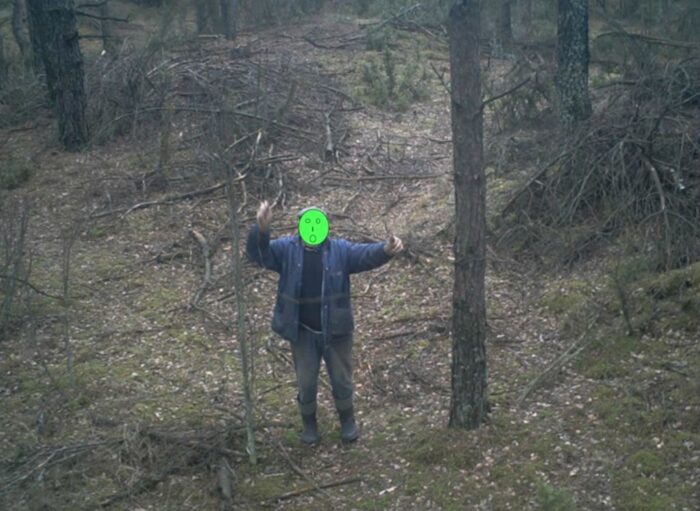 kłusownictwo, lasy państwowe, regionalne dyrekcje lasów