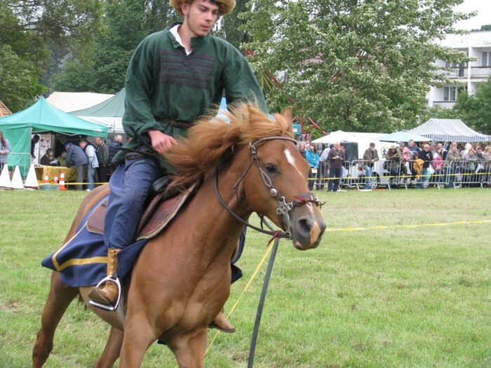 szlak konny na opolszczyźnie, Urząd Marszałkowski Województwa Opolskiego, miłośnicy koni