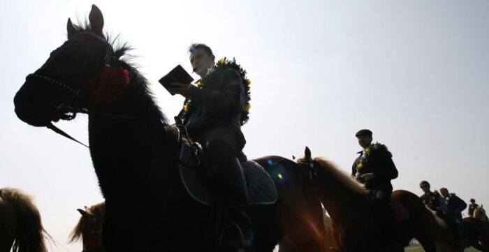 konie, ubezpieczenie konia, koń, ubezpiecz konia, Concordia Ubezpieczenia