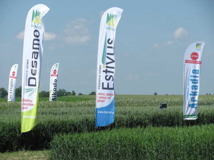 DANKO, Karol Marciniak, ANR, odwołanie, prezes zarządu DANKO, konkurs, spółki państwowe