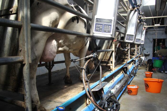 kwota mleczna, kary za nadprodukcję mleka, phil hogan