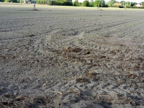 ue, ke, gleby, projekty, ochrona gleb, produkcja żywności