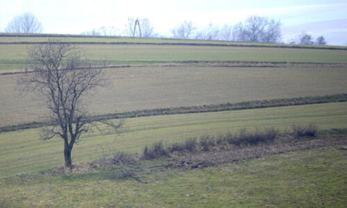 Ustawa o wstrzymaniu sprzedaży ziemi, nieruchomości z zasobu Skarbu Państwa, sejmik województwa lubelskiego