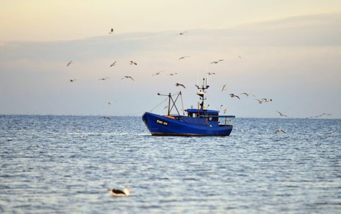 zarządzanie zasobami ryb na Bałtyku, plan zarządzania rybołówstwem na Bałtyku, stad śledzi, dorszy i szprotów