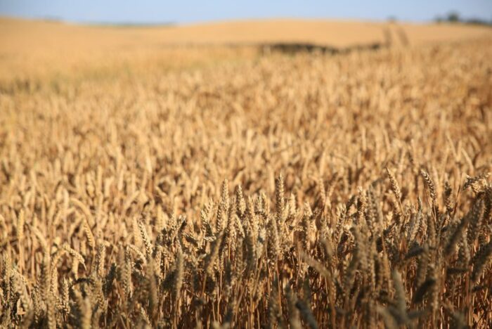 Ustawa o wstrzymaniu sprzedaży ziemi, krzysztof jurgiel, nieruchomości z zasobu Skarbu Państwa