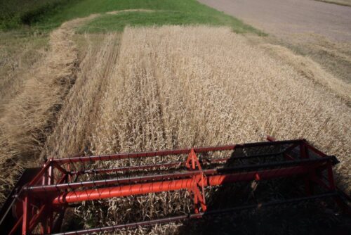 scalanie gruntów, prow 2014-2020, Urząd Marszałkowski Województwa Podlaskiego