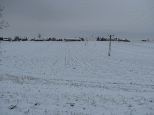 nawozy, rezpak ozimy, zboża ozime, nawożenie, przepisy, ustawa o nawozach i nawożeniu, rozporządzenie ministra rolnictwa