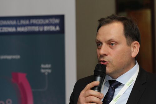 mastitis, krowy mleczne, wymię, liczba komórek somatycznych