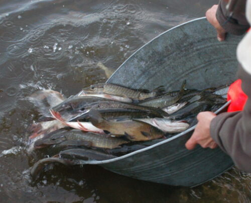 Kongres Rybny w gdyni, Marek Gróbarczyk, ministerstwo gospodarki morskiej