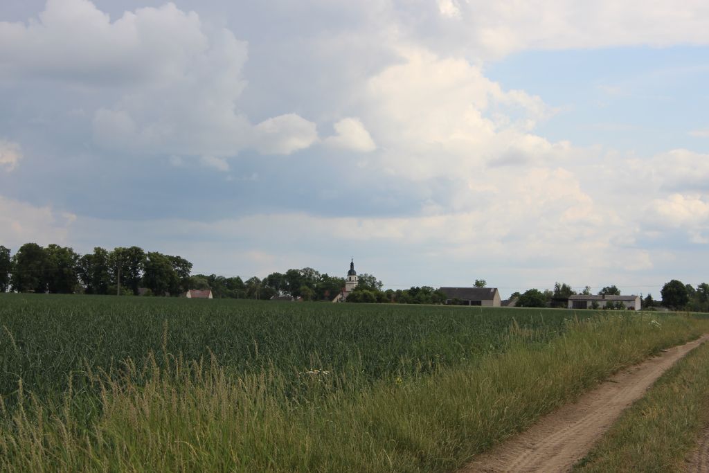 rozwój obszarów wiejskich, wieś, obszary wiejskie, sejm, dopłaty bezpośrednie