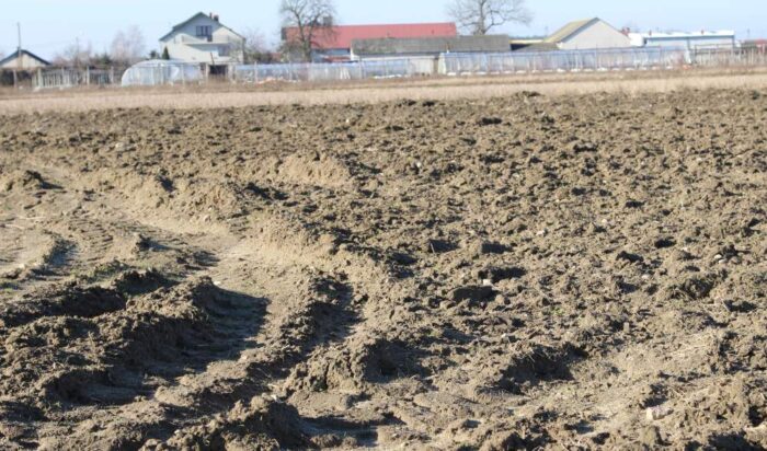 nawożenie, NIK, raport, gleba, uprawa, badanie gleby