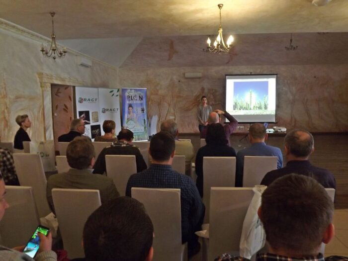 kukurydza, Garzyn, Krajowy Dzień Kukurydzy