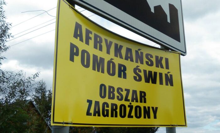 wirus ASF, trzoda chlewna,