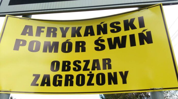 asf, ognisko asf, trzoda chlewna, weterynaria