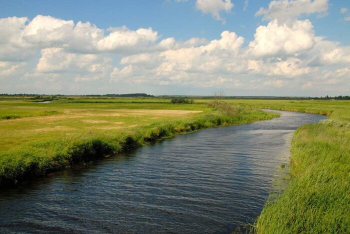 Biebrzańki Park Narodowy, łąka, koszenie, rolnicy, dzierżawa, przetarg