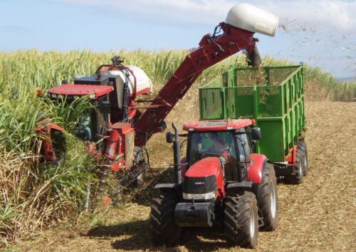 Case IH kombajn trzcinowy