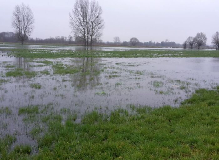 wir, mrirw, dopłaty, ekoschematy