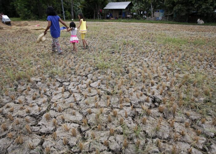 Azjatycki spichlerz ryżowy, niedobory wody w azji, tajlandia, wietnam