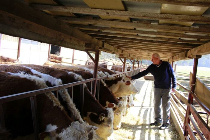 polska wołowina trafi do Maroka