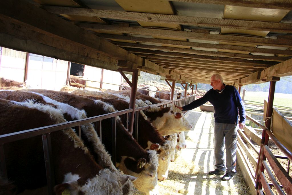 polska wołowina trafi do Maroka