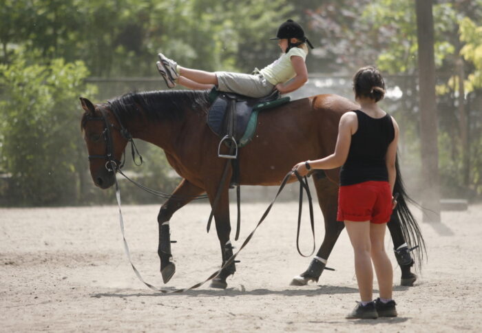 hipoterapia, dogoterapia, olsztyn, Uniwersytet Warmińsko-Mazurski