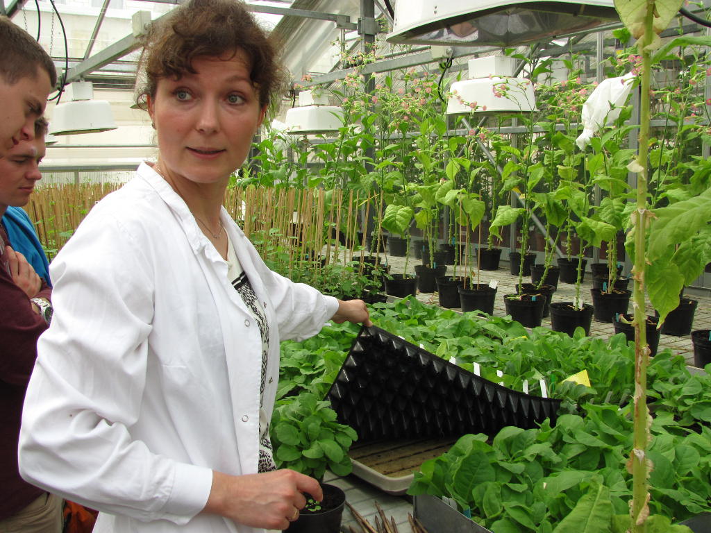 SGGW, WRiB, Wydział Rolnictwa i Biologii, studenci, IUNG-PIB Puławy