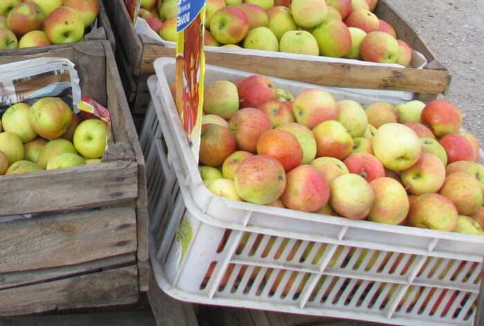 sadownictwo, sadownicy, arimr, ministerstwo rolnictwa