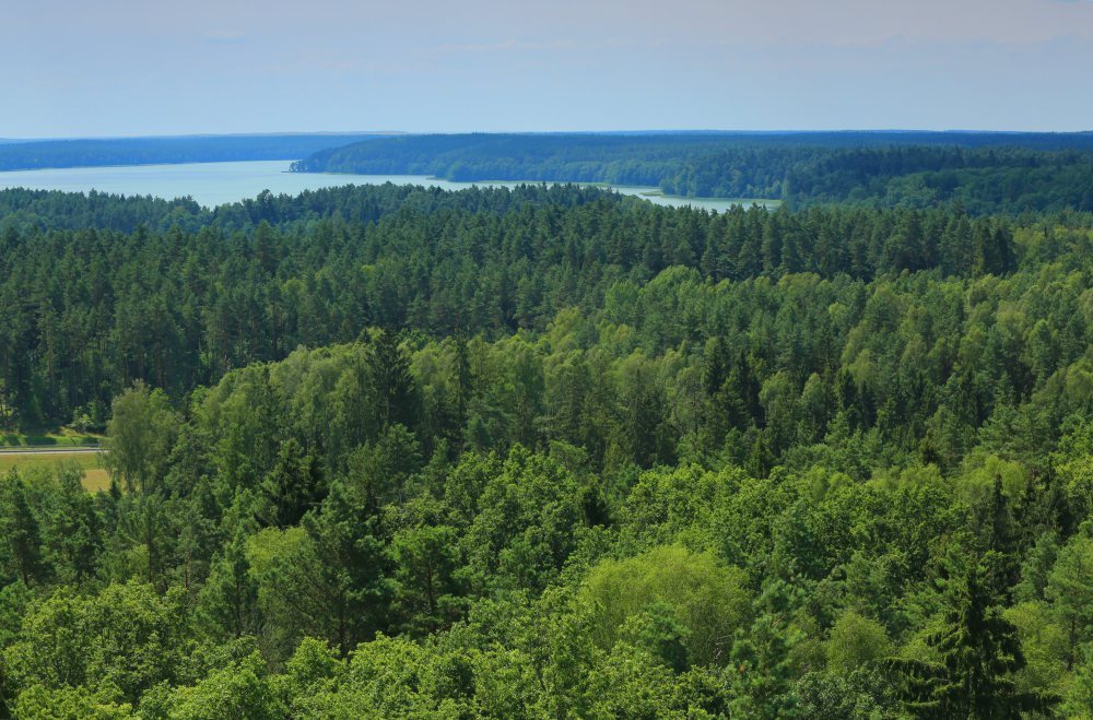 lasy państwowe, pierwokup prywatnych gruntów leśnych, nowela ustawy o lasach
