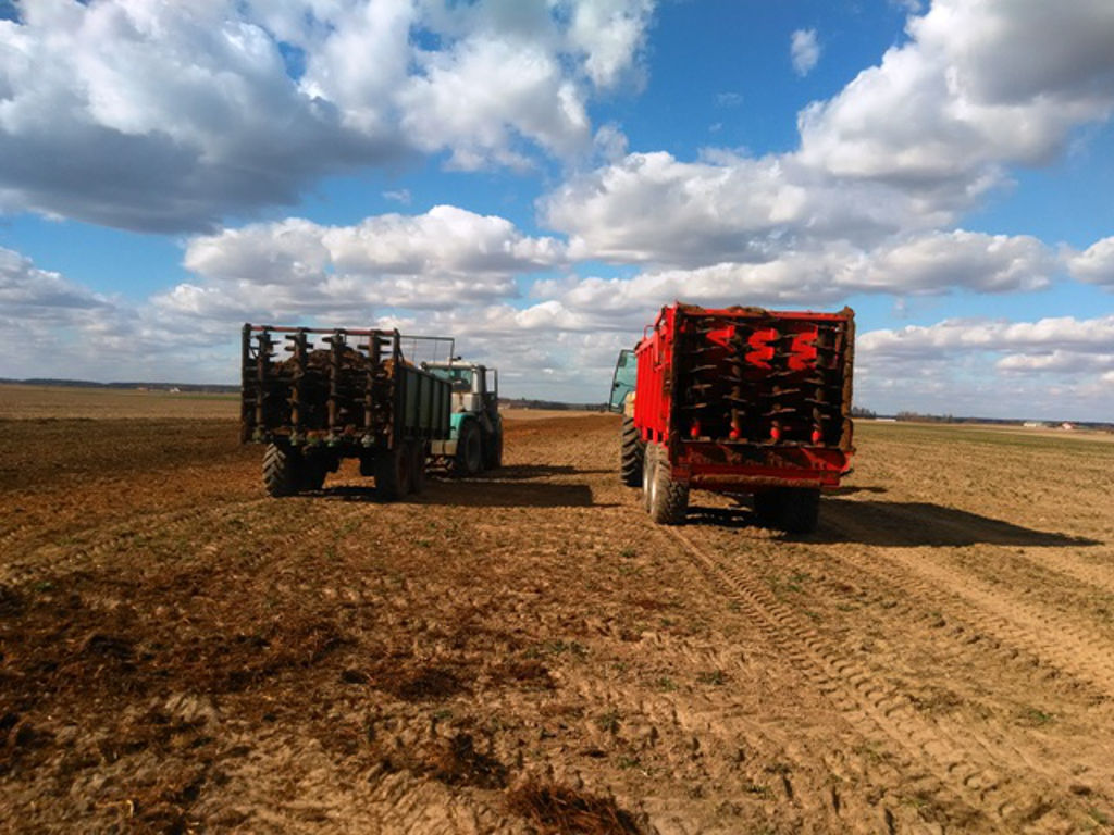 wymarznięty rzepak, nawożenie obornikiem, rozrzutnik do obornika, Szczutowo